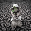 Klimatsko novinarstvo u padu uprkos rastu značaja klimatskih tema