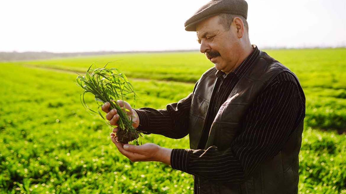 Filipinski startap planira da spasi 90% useva pomoću AI