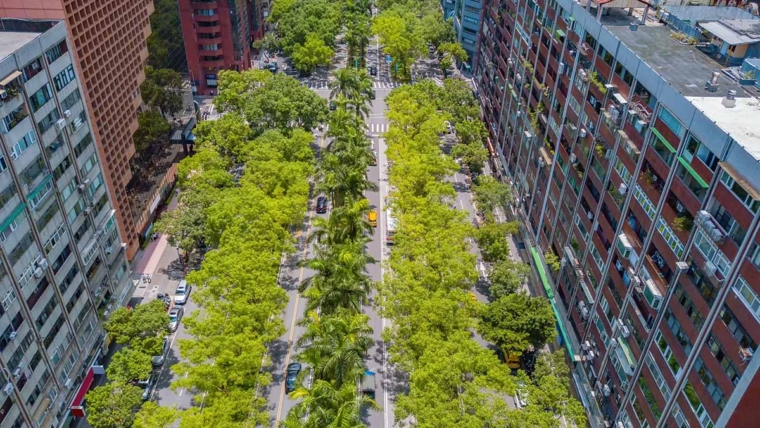 Povećanje urbane vegetacije za 30% moglo bi da spreči više od trećine smrtnih slučajeva izazvanih toplotom