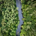 Međunarodni dan biodiverziteta: Više od 48.000 vrsta suočeno sa izumiranjem
