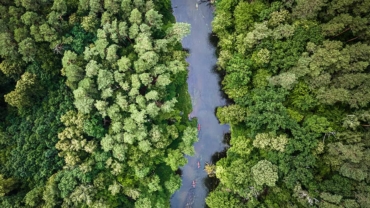 Međunarodni dan biodiverziteta: Više od 48.000 vrsta suočeno sa izumiranjem