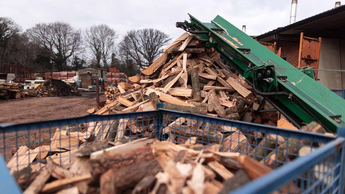 Lekovi od drveta – Niže cene, manje otpada