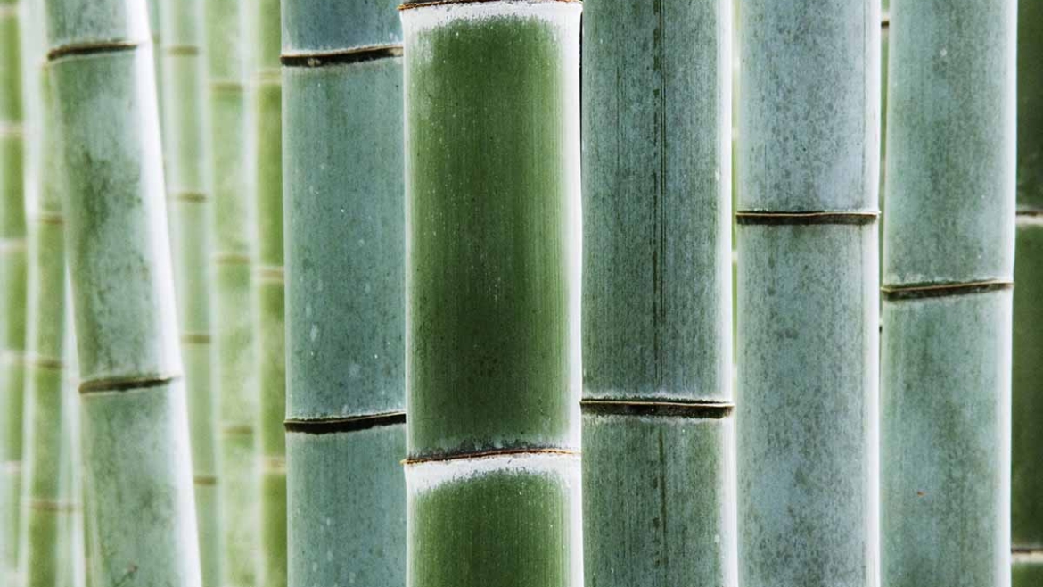 Sve više proizvođača tekstila koriste vlakna sledeće generacije