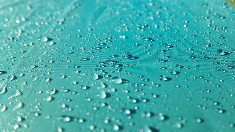 Jestiva gljiva mogla bi zameniti plastiku u pakovanju i tkaninama