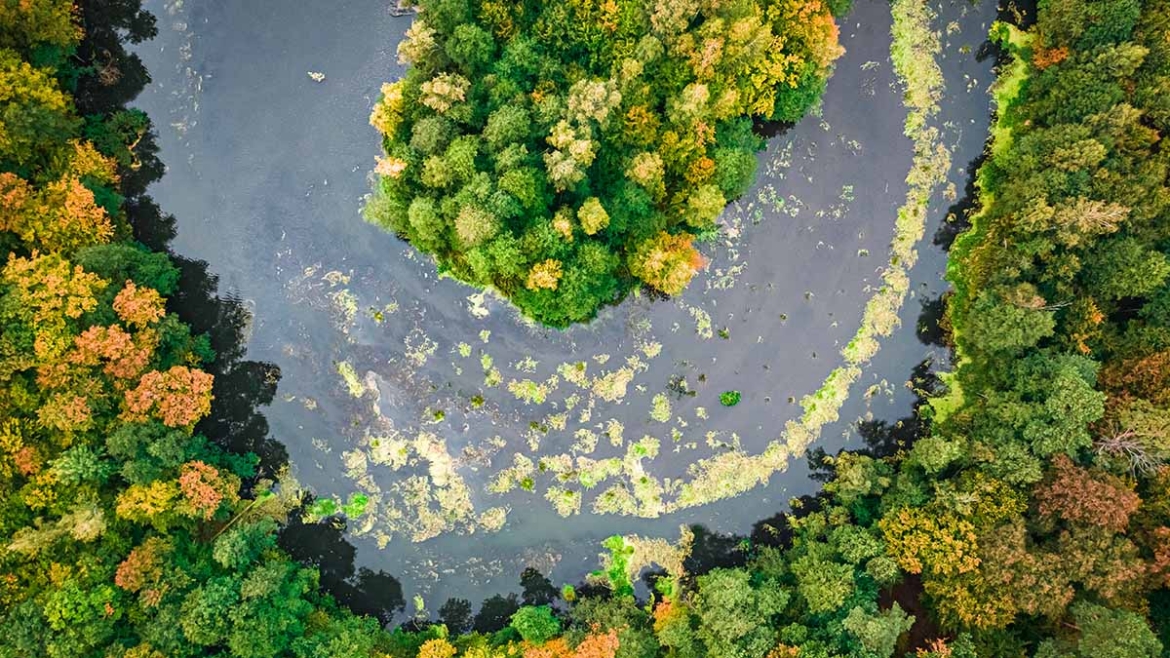 Šta sadrži najsveobuhvatniji izveštaj UN o zdravlju planete