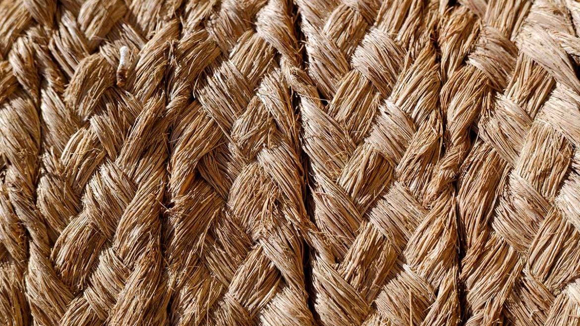 Brendovi sve više traže prirodna vlakna nove generacije