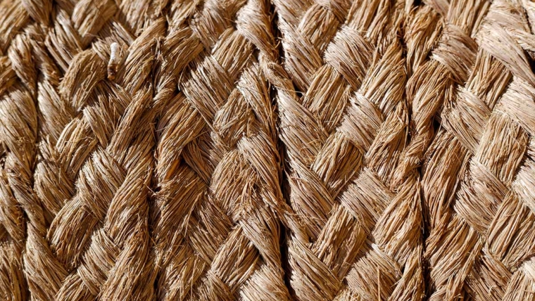 Brendovi sve više traže prirodna vlakna nove generacije