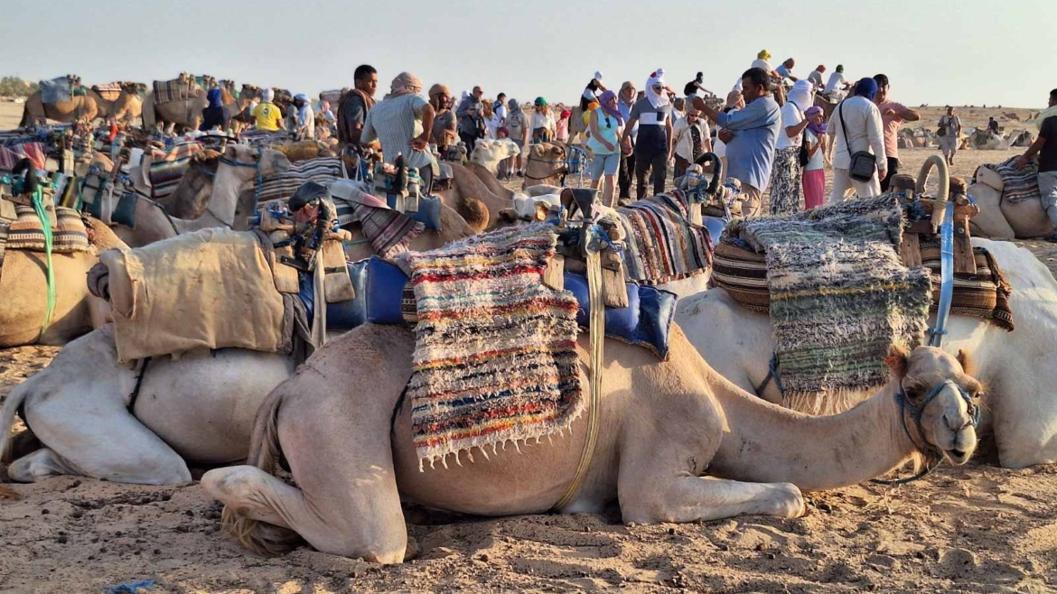 Zašto naše zelene navike nestaju na putovanju