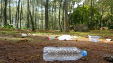 SAS studija: Coca-Cola, Mekdonalds i Cadbury najveći zagađivači plastikom u Velikoj Britaniji
