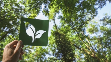 Eko oznaka: Sve veće interesovanje za ekološki sertifikovane proizvode