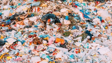 WWF: Odgovorna zamena plastike deo šire vizije cirkularne ekonomije