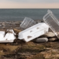 Jednokratna plastika i dalje prisutna u EU – 111 milijardi plastičnih posuda za hranu samo u jednoj godini