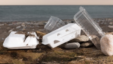 Jednokratna plastika i dalje prisutna u EU – 111 milijardi plastičnih posuda za hranu samo u jednoj godini