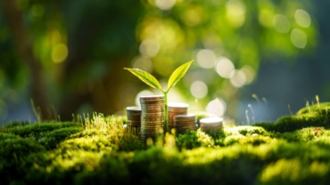 Deloitte: Investicije u održivost utiču na rast prihoda